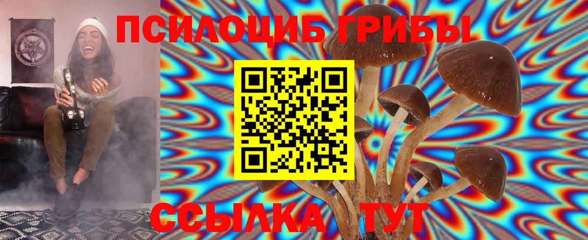 Галлюциногенные грибы GOLDEN TEACHER Зеленокумск
